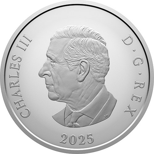 Rückseite der Silber 'Williamson-Diamantbrosche' 1 oz - Matte Proof 2025