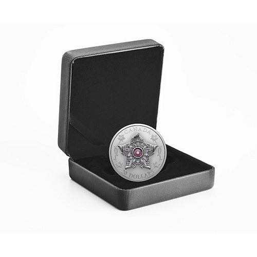 Original Münzetui des Silber 'Williamson-Diamantbrosche' 1 oz - Matte Proof 2025